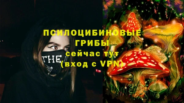 ECSTASY Абдулино