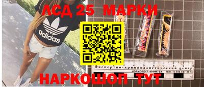 мдпв Заводоуковск