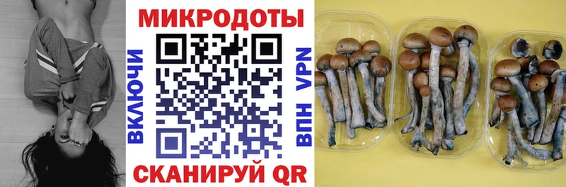где купить наркоту  Узловая  blacksprut ТОР  Галлюциногенные грибы Cubensis 